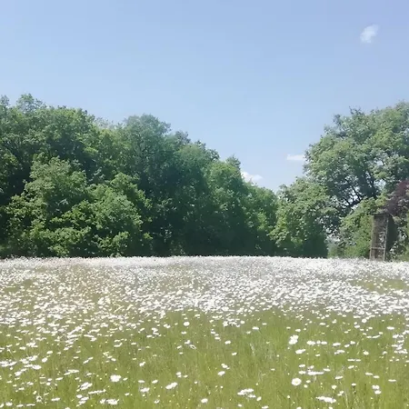 Prázdninový dům Laurelie, Un Ecrin De Serenite *
